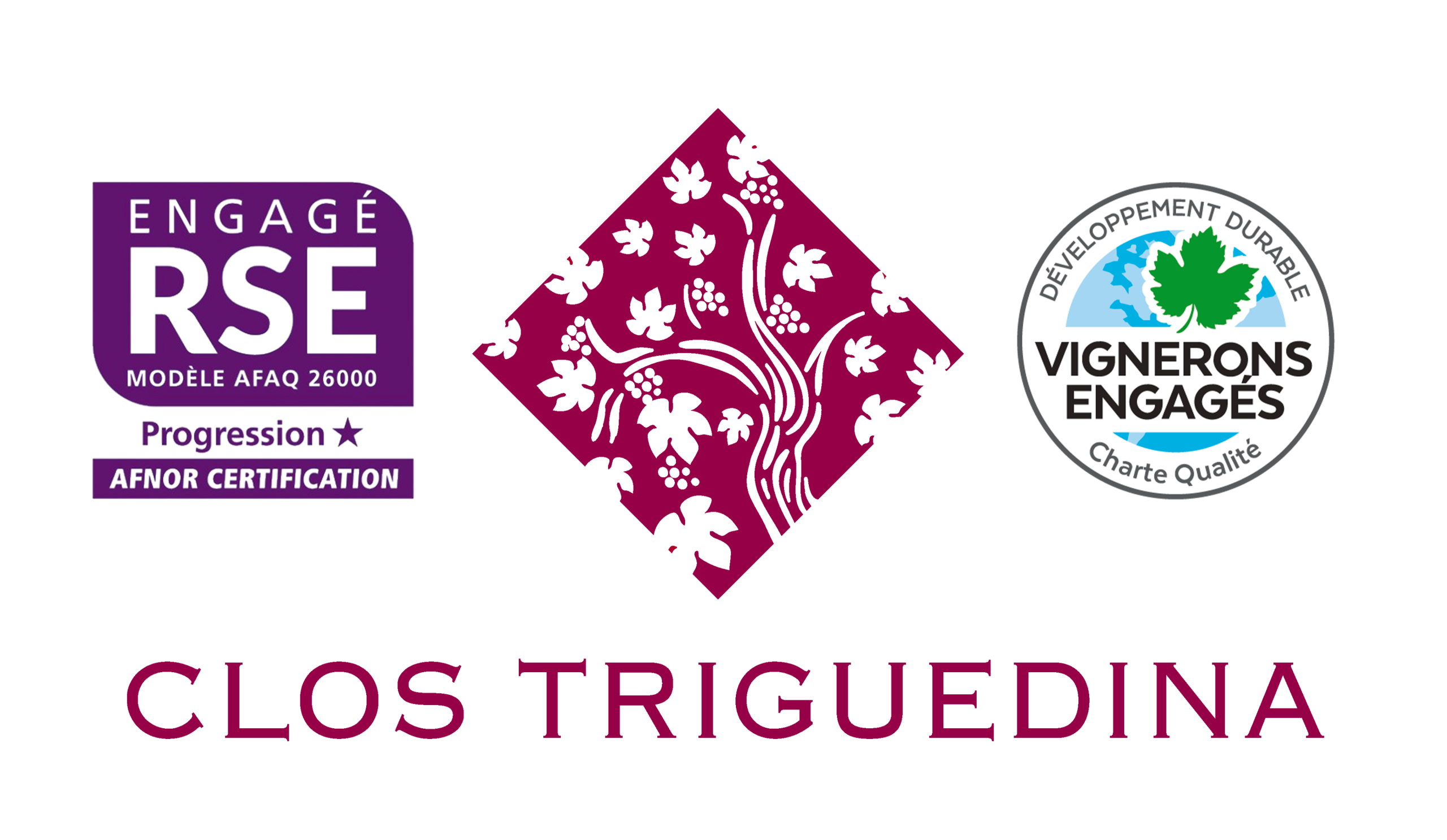 Famille Baldès Vins de Cahors, SAS Clos Triguedina a Vire Sur Lot 46700