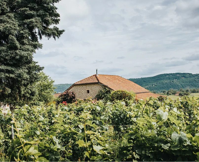 Engagement La Famille Baldes