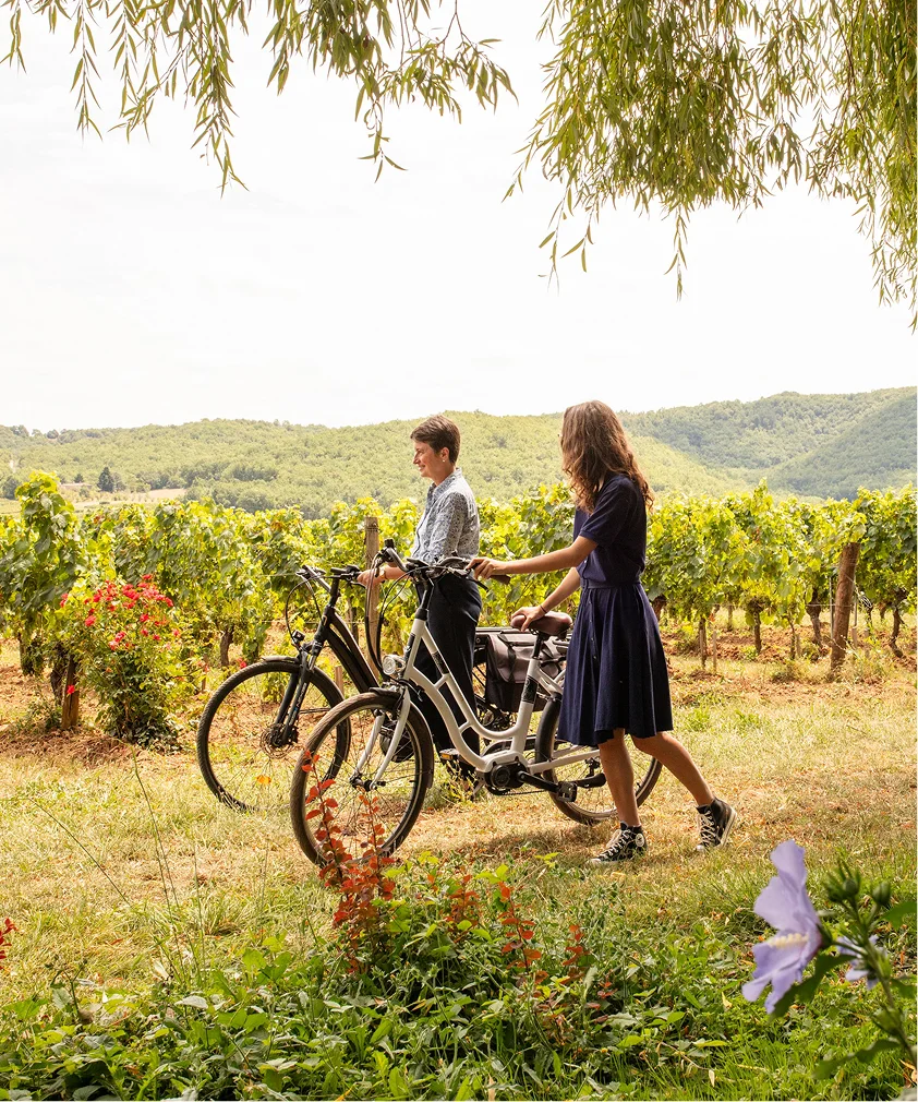 Expression du terroir Malbec