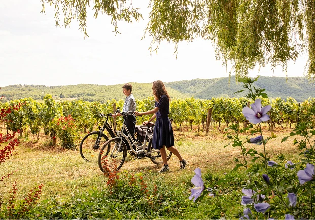 Oenotourisme Famille Baldes Lot