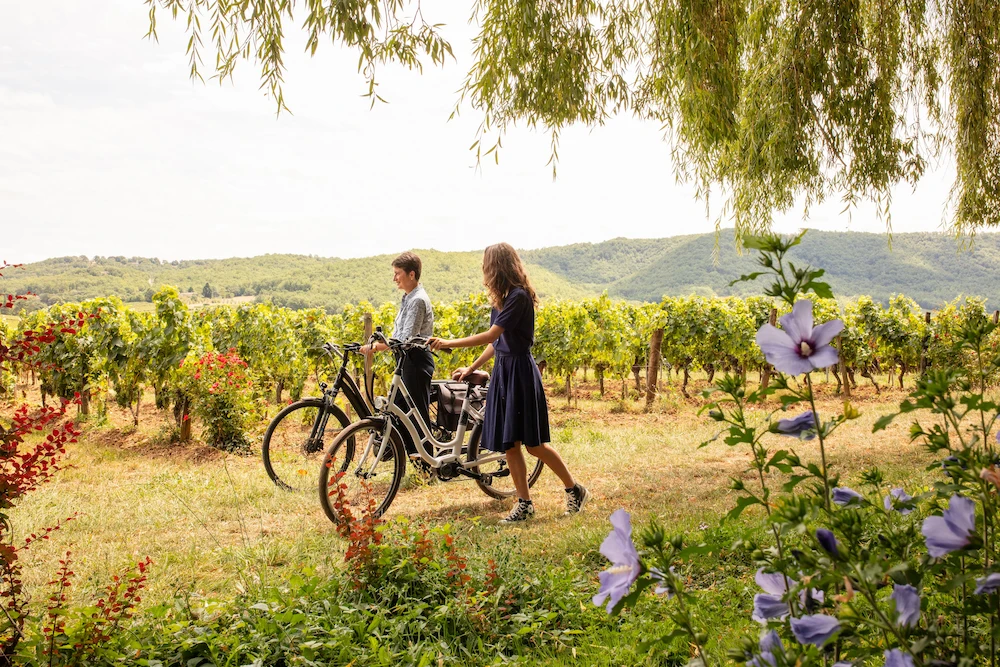 Vinocycle le Clos Triguedina