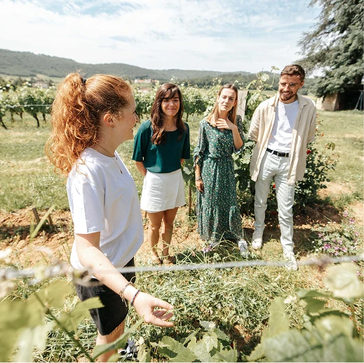 Visitez le Clos Triguedina 3